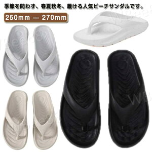 r[`T_ jp EVA fB[X Y  T_ y gOT_ ɂȂ ₷ ~ 傫TCY C  C s