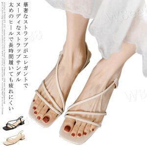 Xgbv T_ ~[ fB[X  `L[q[ t q[ ؚXgbv ₷ XNGAgDgOT_ ubN 21.5-25cm