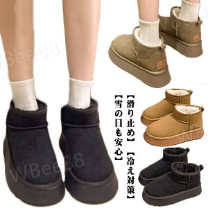  fB[X  hu[c V[gu[c y {A g C Ȃ Ȃ  {Au[c q[3cm V[g XG[h   ʊw [gu[c