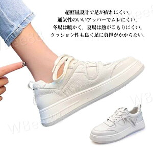 Xj[J[ fB[X  zCg C V[Y r ϋv U  yA  킢 [XAbv JWA ɂ y ʊw ʋ d Vv EH[LO V[