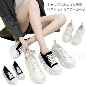  Xj[J[ nCJbg Sc  nCJbgXj[J[ C fB[X Xj[J[ Xj[J[ fB[X nCJbg Xj[J[ Ȃ Xj[J[ fB[X