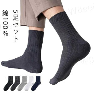 N[\bNX C  rWlX Y \bNX LR 5Zbg nC\bNX  ʋΒʊw ubN  zCg  JWA amp X[c hL business socks w  