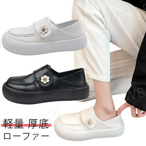 JWA  [t@[ TCY 3.5cmq[  Xb| [Jbg C [t@[ tH[}  r d d ʋ ʋC ₷ fB[XC _炩 