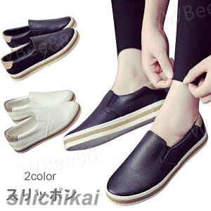 Xb| fB[X tbg\[ PUU[ tFCNU[ [Jbg J[ubN  ɂ JWA Vv V[Y C tV