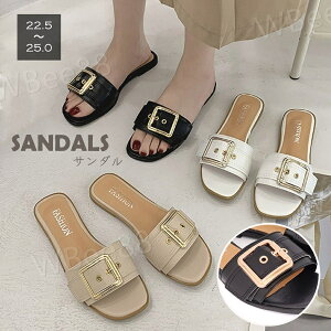 T_ Xbp fB[X  ؂ zCgf[ v[g ̓