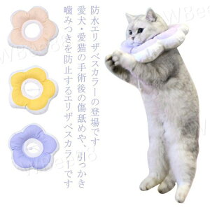 h GUxXJ[  L \tg rߖh~ \ p pEFA ybg L  Ԍ^  y  ߉\ _炩  ʋC ی XgX ܐ؂