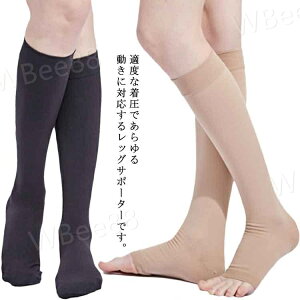 bOT|[^[ Jo[EFA bOEH[}[ Y fB[X M L bORtH[g @\ ӂ͂ K  NObY v[g Mtg  X|[c e[N 