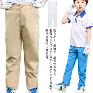 StEFA qpStpc Opc t  StEFA LbYX|[cpc ̎q j̎q Stp pc Xgb` ʋC Lk WjA