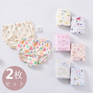 _炩 LbY   pc 2g 100  Ci[ V[c ̎q  A_[EFA w c ۈ牀 ct qp