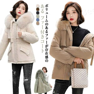 {A bYR[g fB[X {AWPbg ȃWPbg ~^[R[g WPbg AE^[ hR[g ~ t[ht t@[t ȃR[g O ~^[ h H 