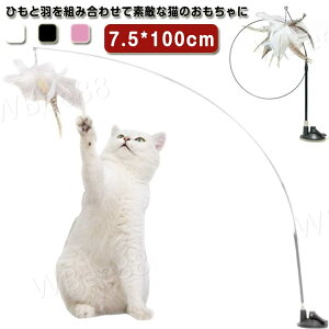 L炵 zՎ mߋ ˂  LI` H_t L^s΍ L̂  Lp L qL e qL̂ lV