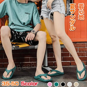 T_ Y r[`T_ Y ɂȂ ăT_ C JWAV[Y 傫TCY  ₷ V zCgf[ v[g