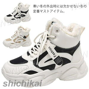 5.5cmAbv g fB[X  킢 Xj[J[ _bh EH[LOV[Y r C lC ubN N gAbv   Cq[ r  ~ gLт