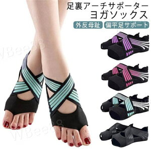 K\bNX O T|[^[ G A[` T|[^[ 5{w ܐȂ ~ EH[NT|[^[ RAg[jO KV[Y KEFA ̊ RAEH[N _X o