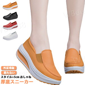 Xj[J[ fB[X   _bhXj[J[ ؍ EH[LOV[Y y h Cq[Xj[J[ 傫TCY 5cm C D ꂢ 킢 C  ₷ V