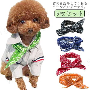 Ђ 5Zbg p Ђ^I  ⊴^I ɂ邾 U MǑ΍ lbN lbNN[[  ppO N[[ LppO N[o_ ⊴ N[  