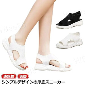 n r  T_ X|[cT_ y bV fB[X JWA EH[LOV[Y Ȃ d ʋC wlC Vv fB[XXj[J[ T{ y 