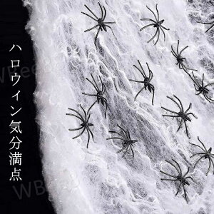 nEB  w偂̑ w偂̎ 100g N 30Zbg  t ~ XpC_[EFu nEBObY RXv ObY p[eB[ CeA  XpC_[EFu