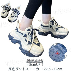 Xj[J[ _bh Xj[J[ fB[X  Xj[J[ JWAV[Y EH[LOV[Y C V[Y gAbv r IV ₷ ɂ ~ 22.5.0cm`2