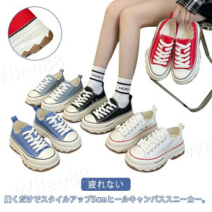 Xj[J[ fB[X  [Jbg 5cmUP Xj[J[ C tbgV[Y JWA LoXV[Y WjA RtH[g X|[cV[Y Xj[J[C  Ȃ  