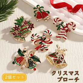 クリスマスブローチ 6種類 2個セット ブローチ プチギフト プレゼント 贈り物 クリスマス クリスマスグッズ クリスマス おしゃれ かわいい パーティー 可愛い グッズ