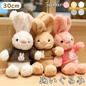 ʂ 킢 ETM 5color  킢  xr[ a NX}X Mtg v[g q    oYj ObY G ̎q w  Aj}