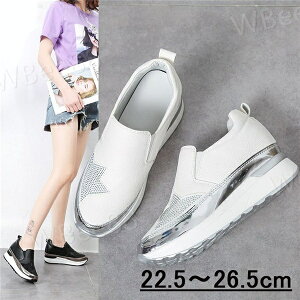 fB[XXb| Xj[J[  V[Y  C 傫TCY