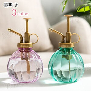 RpNg  ^ ی` Eh K[fjOpi K[fjOG Xv[{g  ӂ 