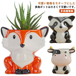  A ~jA  ꌊt  rO T{e ^ CeA ItBX Aj} K[fjO v[g Aؔ