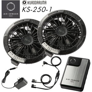 N_} t@Eobe[tZbg 2025V^ ő20V b106L KS-250 GAZT[1 󒲍ƕ t@tEFAp MǑ΍