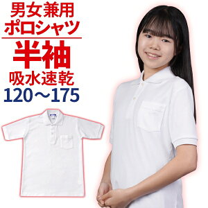 |Vc ̑ jZbNX w w Z  120-175cm tďH