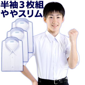 スクールシャツ 男子 長袖 半袖 ノーアイロン ワイシャツ サイズ選べる1-3枚セット 白 145A-190A 160B-190B体 150-190ややスリム 学生服 中学生 高校生 制服 春夏秋冬