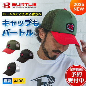 _}\̓|Cg2{^o[g 2025N t bVLbv 4108 ŐV BURTLE ╞ ƒ ƕ y`F 󒲃EFA [N} AEghA 