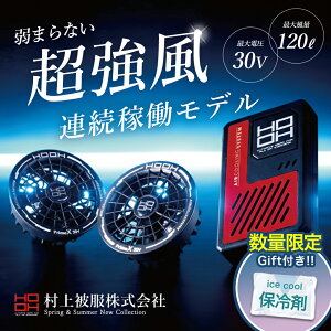 �_�}���\�����̓|�C���g2�{�^������������2026�N�ŐV�쁚�y����핞 2026 �t�� �t�@�� �o�b�e���[ �Z�b�g v3001v3002 �z ��ƕ� ��ƒ� �� �󒲃E�F�A �󒲕� 30V �}���[�d �y�� �n�C�p���[ �h�o