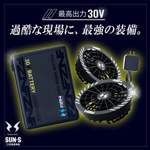 �_�}���\�����̓|�C���g2�{�^������������2026�N���y�T���G�X 2026 �t�� �O���� 30V �t�@�� �o�b�e���[�Z�b�g RD9680G RD9630H�z�󒲕��_�� �󒲕� �󒲃E�F�A �f�o�C�X �f�o�C�X�Z�b�g ��ƒ� ���
