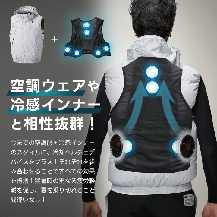 楽天市場】＼マラソン中はポイント2倍／☆即日発送☆【最強6連ペルチェ 
