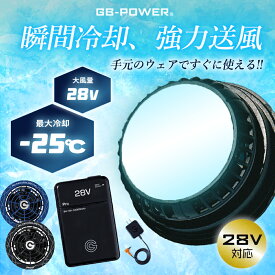 ＼超P祭13-15日ポイント最大22倍／★即日発送★【長信ジャパン ペルチェファン 28V ファンバッテリーセット GB980 GF428】GB-POWER ペルチェ式 ペルチェ 一体型 ファン バッテリー セット 同時稼働 大風量 大型ペルチェ 熱中症対策 バートル ワークマン