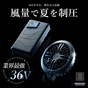 �_�}���\�����̓|�C���g2�{�^��2026�N�ŐV�쁚�ő��\�� �y�N���_���} 2026 �t�� �t�@�� �o�b�e���[ �f�o�C�X�Z�b�g KS-300 �z��ƕ� ��ƒ� �� �󒲃E�F�A �󒲕� �M���Ǒ΍� �o�[�g�� �A�C