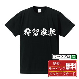 狩留家駅 (かるがえき) オリジナル プリント Tシャツ 書道 習字 【 駅名・鉄道 】 メンズ レディース キッズ S M L LL XL XXL 120 130 140 150 G-S G-M G-L 【 格言Tシャツ おもしろtシャツ ポイント消化 サプライズ 等 】