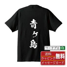 青ヶ島 書道Tシャツ 半袖 名入れ対応可 漢字 習字 書道家が書き上げた 筆文字プリント 【 東京 】 メンズ レディース キッズ 大きいサイズ S-XXL 120-150｜ギフト 入学祝い プレゼント 人気