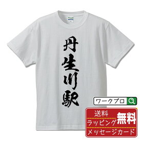 【楽天スーパーSALE P10倍】 丹生川駅 (にゅうがわえき) オリジナル プリント Tシャツ 書道 習字 【 駅名・鉄道 】 メンズ レディース キッズ S M L LL XL XXL 120 130 140 150 G-S G-M G-L 【 ギフトTシャツ おもしろtシャツ 記念日 誕生日 お祝い プレゼント 等 】