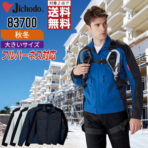 y2_wő^C{CXΉz 傫TCY d ƕ H~ d  Wp[ Y fB[X Xgb` 83700 Jichodo ƒ   EL 4L 5L