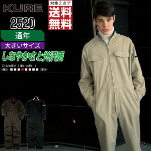 y2_wőz 傫TCY NqtN 2520 ƕ H~ ȑf  Ȃ Y y ciM NqtN KURE ƒ   3L 4L 5L