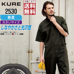 y2_wőz 傫TCY NqtN 2530 ƕ t  Ȃ Y 100% KURE ƒ   3L 4L 5L