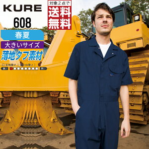 y2_wőz 傫TCY NqtN 608 ƕ t  Ȃ jZbNX LxȃJ[ KURE ƒ   3L 4L 5L