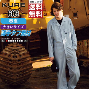 y2_wőz 傫TCY NqtN 609 ƕ t  Ȃ jZbNX LxȃJ[ KURE ƒ   3L 4L 5L