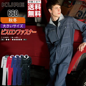 y2_wőz 傫TCY NqtN 660 ƕ H~  Ȃ Y ciM NqtN KURE ƒ   3L 4L 5L BB3L BB5L