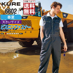 y2_wőz 傫TCY NqtN 6602 ƕ t m[X[u Ȃ Y KURE ƒ   3L 4L 5L