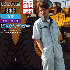 y2_wőz 傫TCY NqtN 6603 ƕ t  Ȃ Y LxȃJ[ KURE ƒ   3L 4L 5L