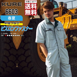 y2_wő^C{CXΉz NqtN 6603 ƕ t  Ȃ Y LxȃJ[ KURE ƒ   S M L LL